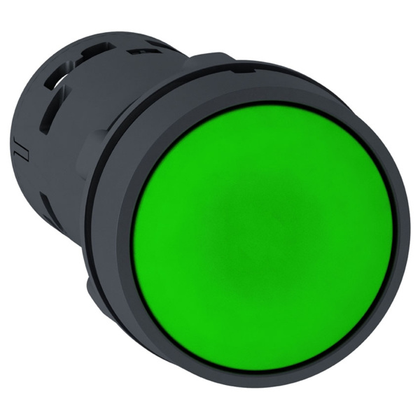 XB7NA33 | Кнопка с возвратом, зелёная, 2НО, Schneider Electric